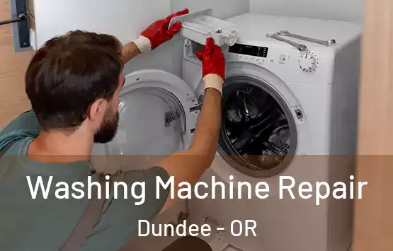  Washing Machine Repair Dundee - OR