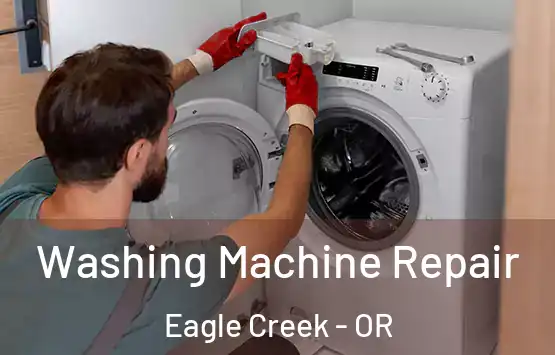  Washing Machine Repair Eagle Creek - OR