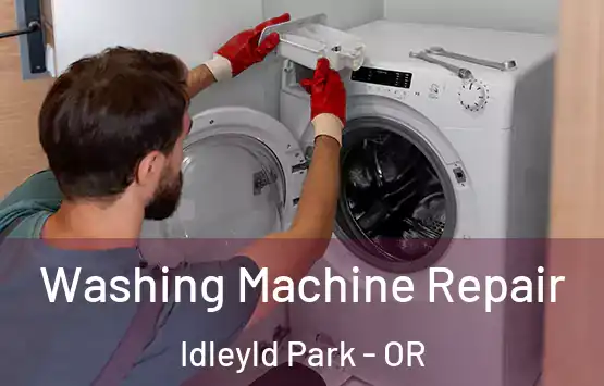  Washing Machine Repair Idleyld Park - OR
