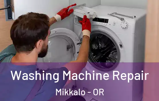  Washing Machine Repair Mikkalo - OR