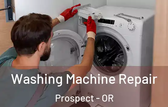  Washing Machine Repair Prospect - OR