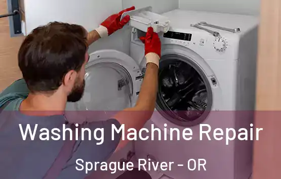  Washing Machine Repair Sprague River - OR