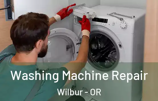  Washing Machine Repair Wilbur - OR