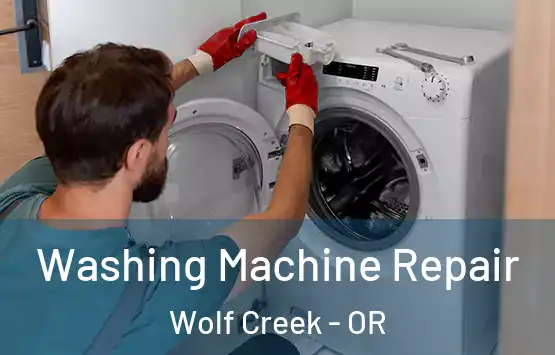  Washing Machine Repair Wolf Creek - OR