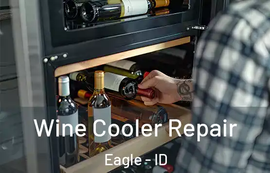 Wine Cooler Repair Eagle - ID