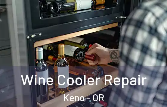  Wine Cooler Repair Keno - OR