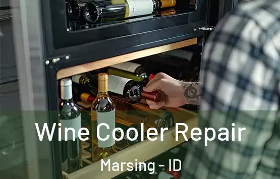  Wine Cooler Repair Marsing - ID