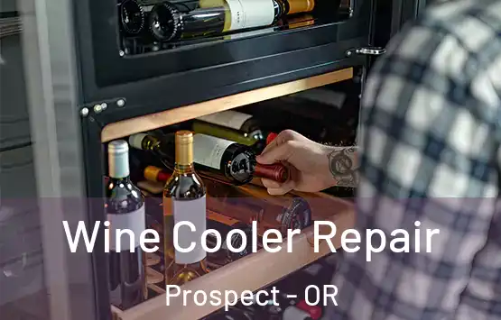  Wine Cooler Repair Prospect - OR