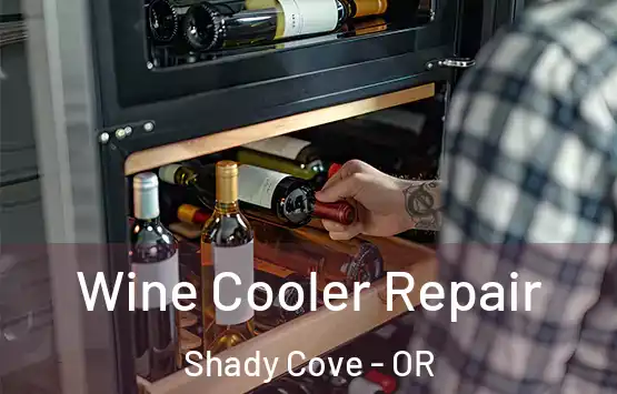  Wine Cooler Repair Shady Cove - OR
