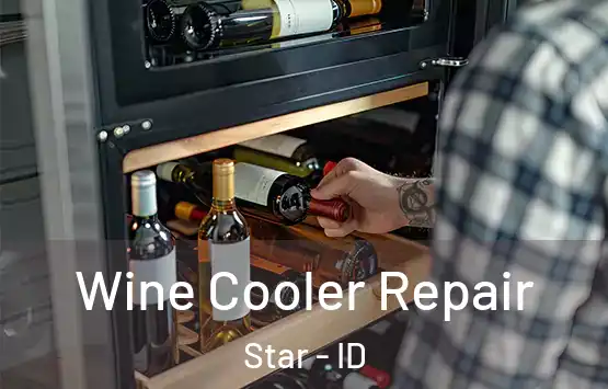  Wine Cooler Repair Star - ID