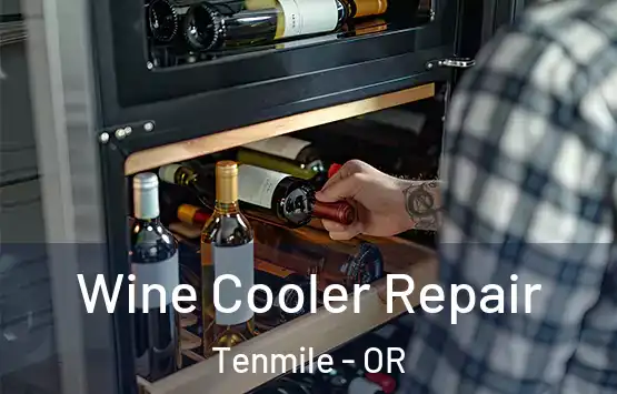  Wine Cooler Repair Tenmile - OR