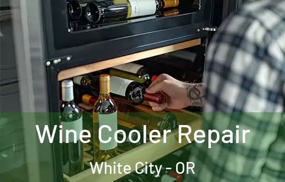  Wine Cooler Repair White City - OR